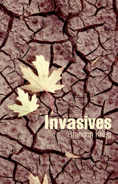 BookCover1-1USE THIS12.18.13